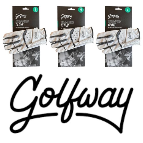 New junior golfway champion - new,